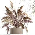 Elegant Bonsai Potted Plant With Brown Purple And White Grasses In Beige Pot