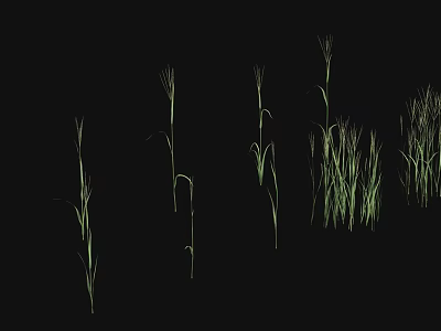 Green Grass Plants With Different Shapes And Heights On Black Background 3d model