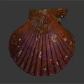 Vibrant Red Brown Marine Scallop Displaying Fan Shaped Shell Textured Surface And Glossy Details