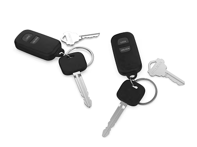 Black Key Shaped Jewelry Accessories With Remote Design And Two Pieces 3d model
