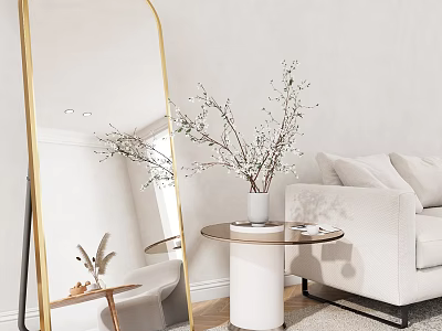 Large Gold Frame Mirror in Modern Living Room with Vase Plant and Sofa Decor 3d model