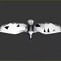 Blue Bird Flying With Spread Wings Against Dark Gray Background 3d model