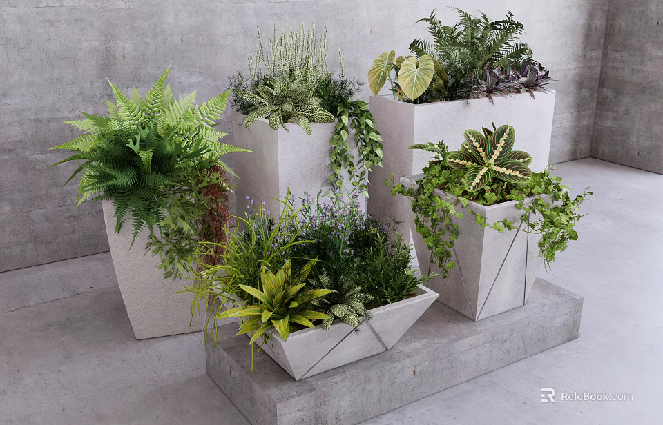 Various Potted Bonsai Plants In Geometric Concrete Pots With Lush Green Foliage 3d model 