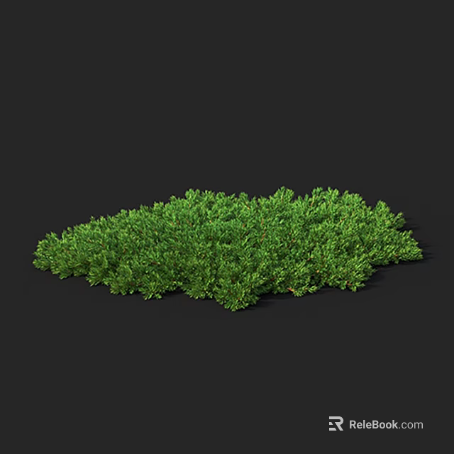 Vibrant Lush Green Shrub with Dense Foliage Isolated on Dark Background 3d model 