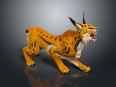 Orange Spotted Lynx with Long Tufted Ears Roaring in Crouching Stance on Gray Background 3d model