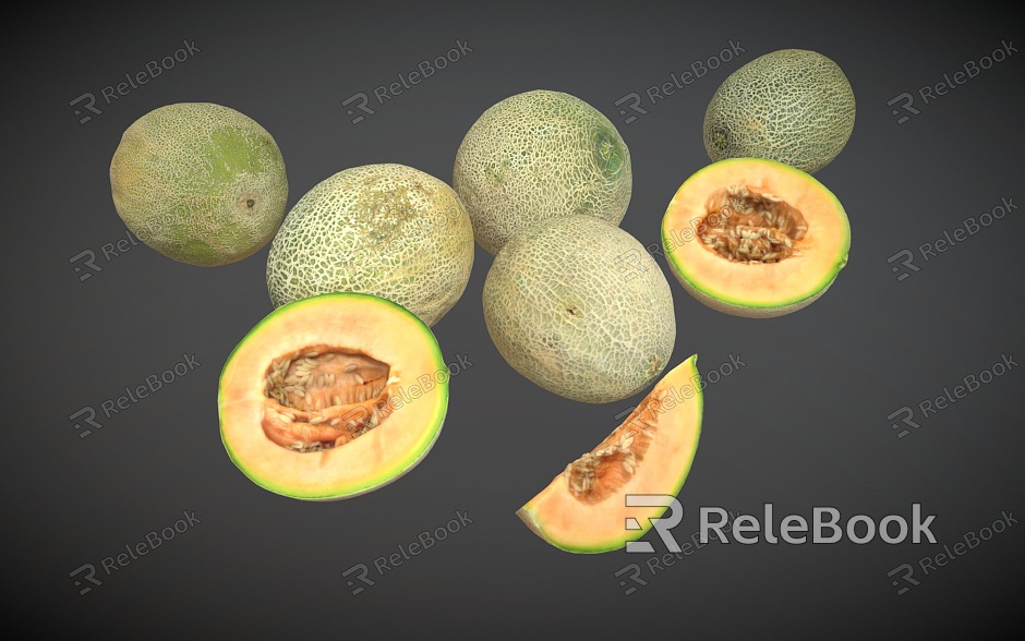 Hami melon fruit model