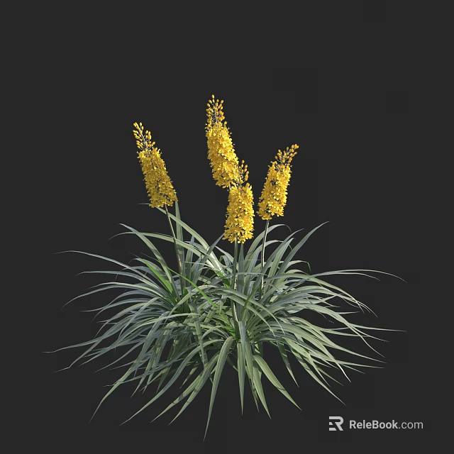 Four Yellow Flowers With Slender Stems And Long Green Leaves On Black Background 3d model 