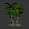 Vibrant Tree with Large Green Leaves Multiple Trunks and Small Base Plants