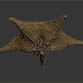 Modern starfish mollusk 3d model