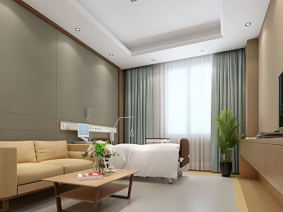 Modern Hospital Outpatient Clinic Room With Bed Sofa Coffee Table And Potted Plant 3d model