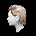 Human Head Model With Blonde Wavy Hair And Hairstyle Design