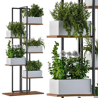 Bonsai Potted Plants On Multi Tiered Metal Frame Wooden Shelves With Various Greenery 3d model