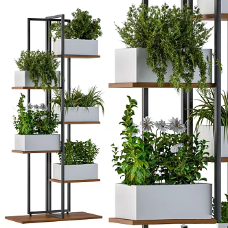 Modern bonsai stand grass plant box 3d model