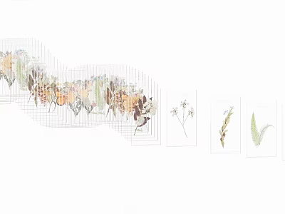 Various Watercolor Flowers And Plants Arranged In Wavy Grid Pattern 3d model