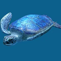 Sea Turtle Reptile With Blue Shell And Detailed Texture On Blue Background 3d model