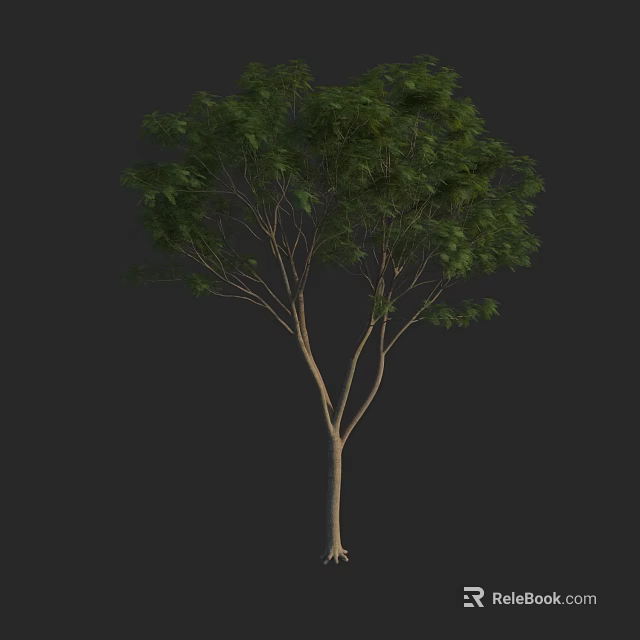 Arbor With Lush Green Foliage Strong Trunk And Natural Branch Structure 3d model 