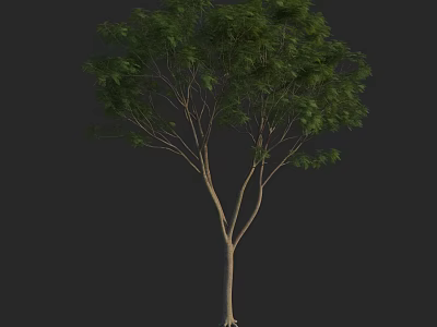 Arbor With Lush Green Foliage Strong Trunk And Natural Branch Structure 3d model