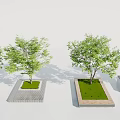 Tree Planters Outdoor Design With Trees Green Grass And Different Materials 3d model