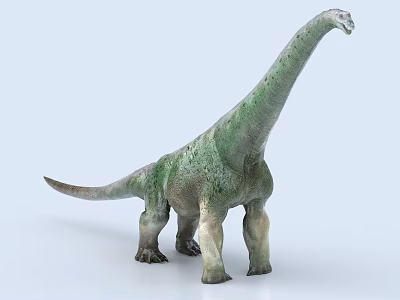 Realistic Dinosaur Figure With Long Neck And Tail Green Gray Skin Standing On Light Background 3d model