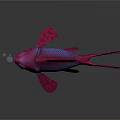 Vibrant Pink Goldfish Swimming With Bubbles On Dark Reflective Background