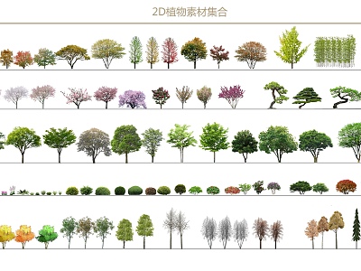 2D plant combination SU model model