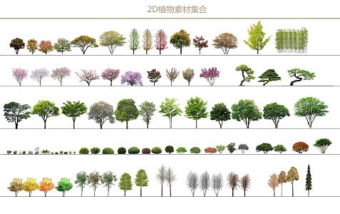 2D plant combination SU model 3d model