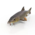 3D Model Of A Fish With Dark Body Whiskers And Fins On White Background