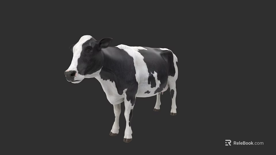 Detailed Realistic Black And White Cow Standing Isolated On Dark Background 3d model 