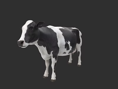 Detailed Realistic Black And White Cow Standing Isolated On Dark Background 3d model