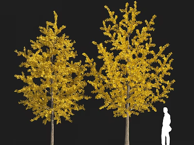 Two Yellow Leaf Trees Plant Combination With Golden Foliage And Human Silhouette 3d model
