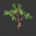 Lush Green Leaf Tree Bearing Fresh Yellow Fruits Against Gray Background