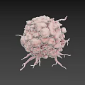 3D Rendered Pink Spherical Cell Like Structure With Thin Protrusions On Black Background