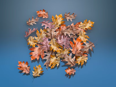 Beautiful Colorful Autumn Leaves in Various Hues Scattered on Blue Background 3d model