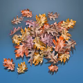 Beautiful Colorful Autumn Leaves in Various Hues Scattered on Blue Background