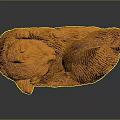Orange Cat Curled Up Sleeping in Round Shape Against Dark Background 3d model