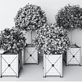 Round Crown Trees With Yellow Flowers In Black White Square Planters And Geometric Patterns