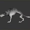 Gray Wolf Game And Movie Character With Long Snout Yellow Eyes Standing Pose 3D Rendered