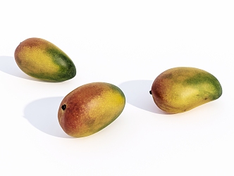 Fruit Mango 3d model