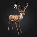 Realistic Standing Deer Sculpture With Large Antlers Brown White Spots