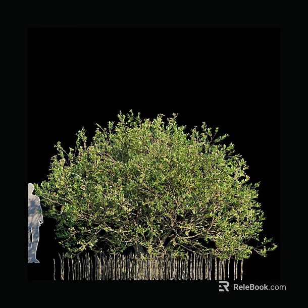 Tall Arbor With Lush Green Foliage And Human Silhouette For Size Reference 3d model