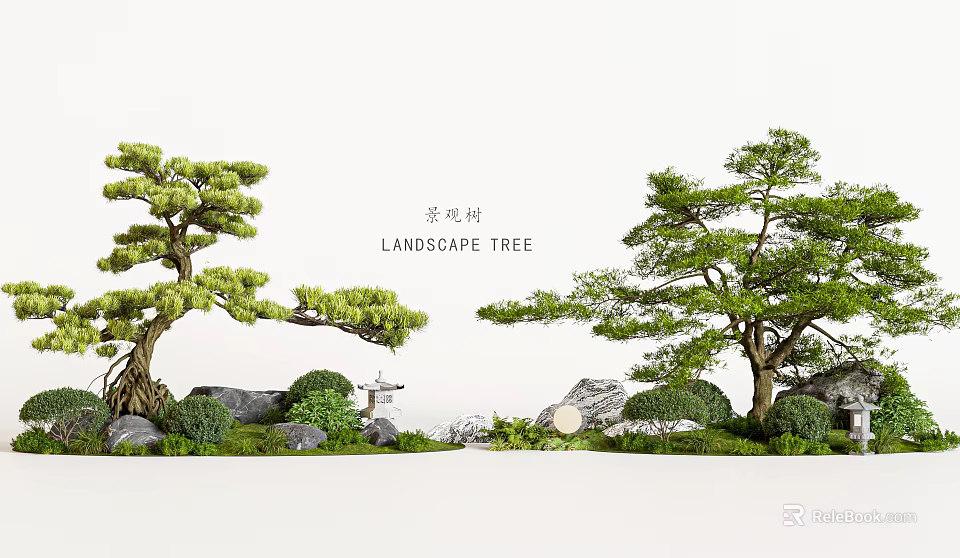 Traditional Garden Landscape Design With Pine Trees Rocks And Mossy Greenery 3d model 