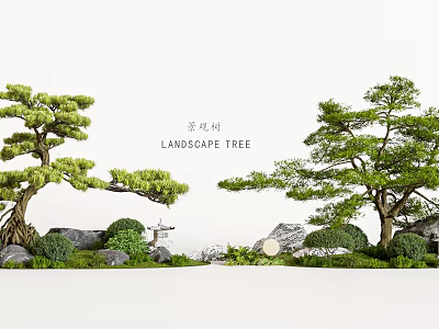 Traditional Garden Landscape Design With Pine Trees Rocks And Mossy Greenery 3d model