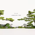 Traditional Garden Landscape Design With Pine Trees Rocks And Mossy Greenery