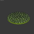 Dense Green Circular Plant Cluster With Lush Foliage Texture 3d model