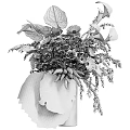 Elegant Floral and Greenery Decorative Arrangement with White Flowers Large Tropical Leaves and Brown Spikes