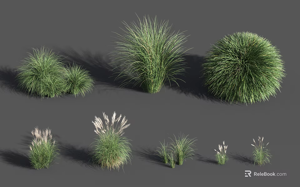 Diverse Ornamental Grasses with Feathery Plumes and Round Shapes for Garden Landscaping 3d model 