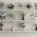 Elegant Decorative Vases With Various Flowers Arranged On White Shelves