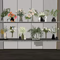 Modern Vase Flowers Decoration with Various Colored Blooms and Green Plants on Interior Shelves