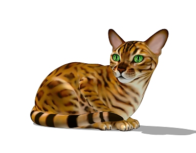 Modern cat animals 3d model