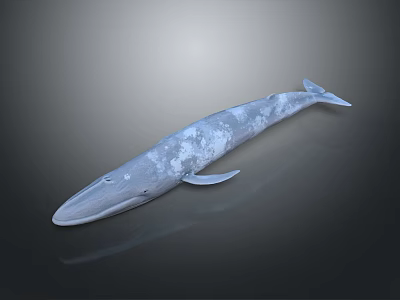 Large Blue Whale Swimming In Ocean With Smooth Skin And White Patterns 3d model